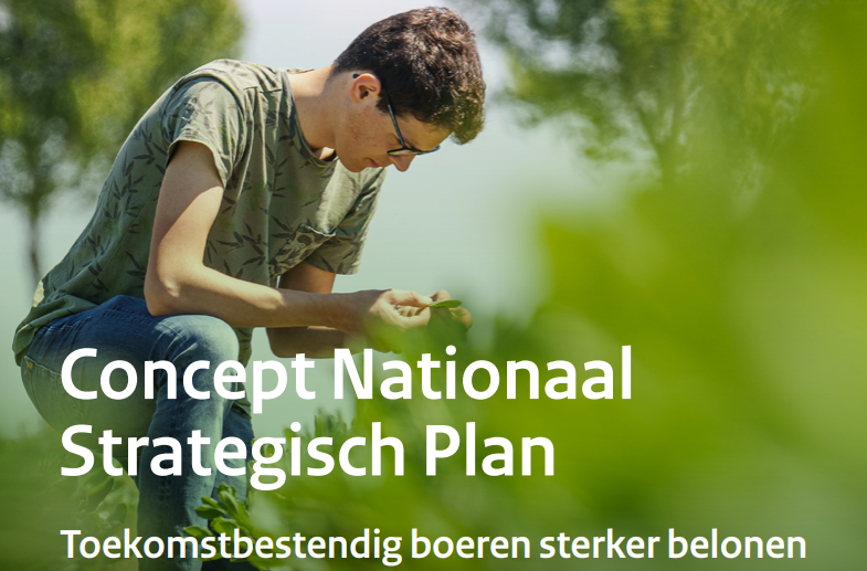 Voorpagina Concept Nationaal Strategisch Plan