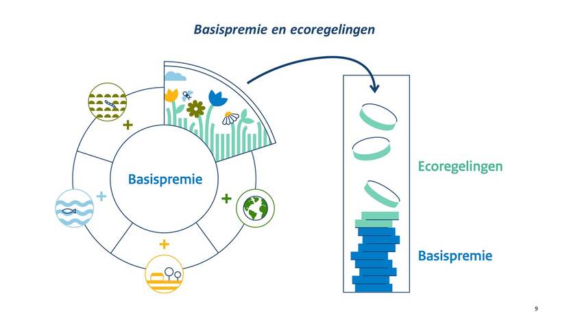 Het puntensysteem in beeld