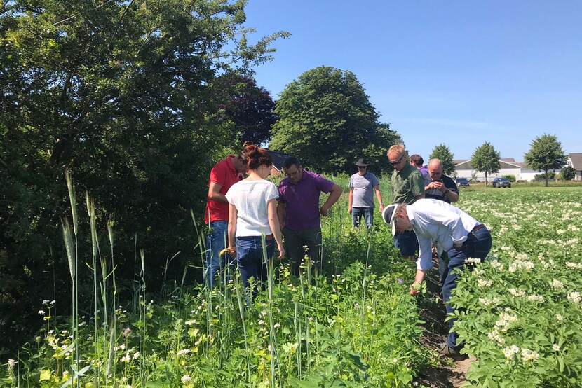 Mensen overleggen in het veld