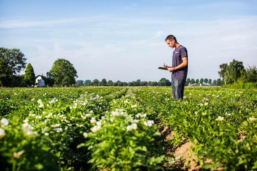 Waarom boeren ‘zekerheid op de lange termijn’ zo belangrijk vinden